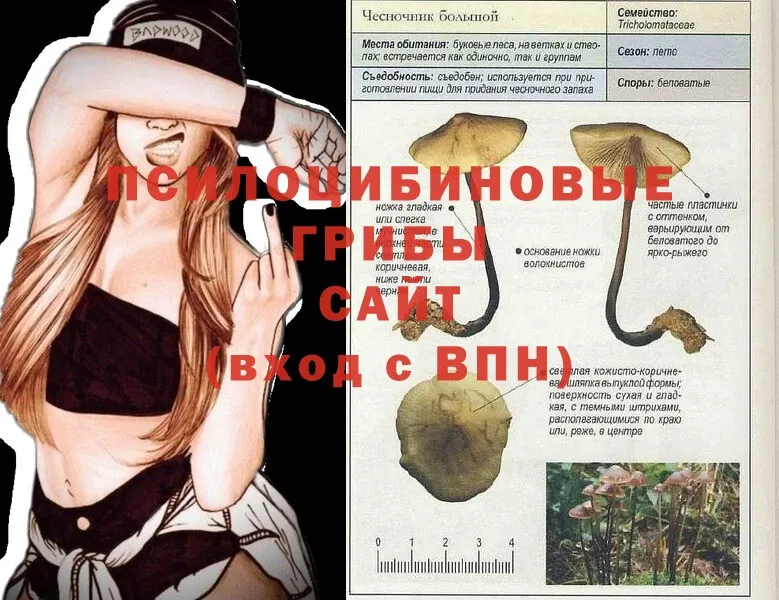 Галлюциногенные грибы MAGIC MUSHROOMS  купить   Нюрба 